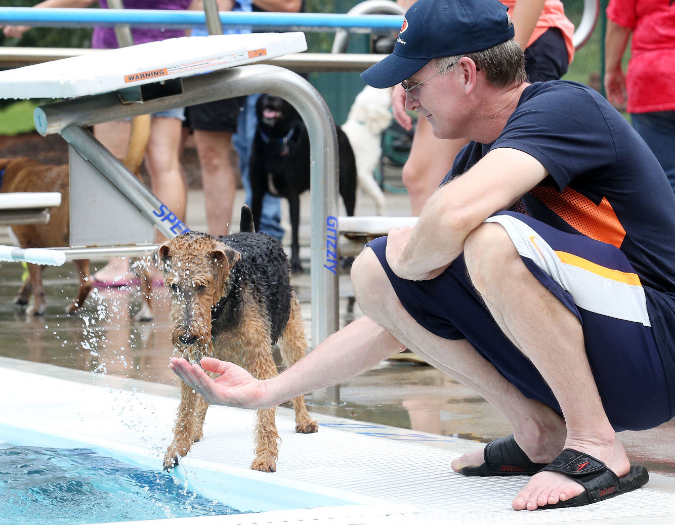 2015 Diggity Dog Dip